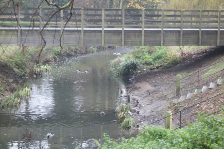 a bridge over the water that has birds swimming underneath it