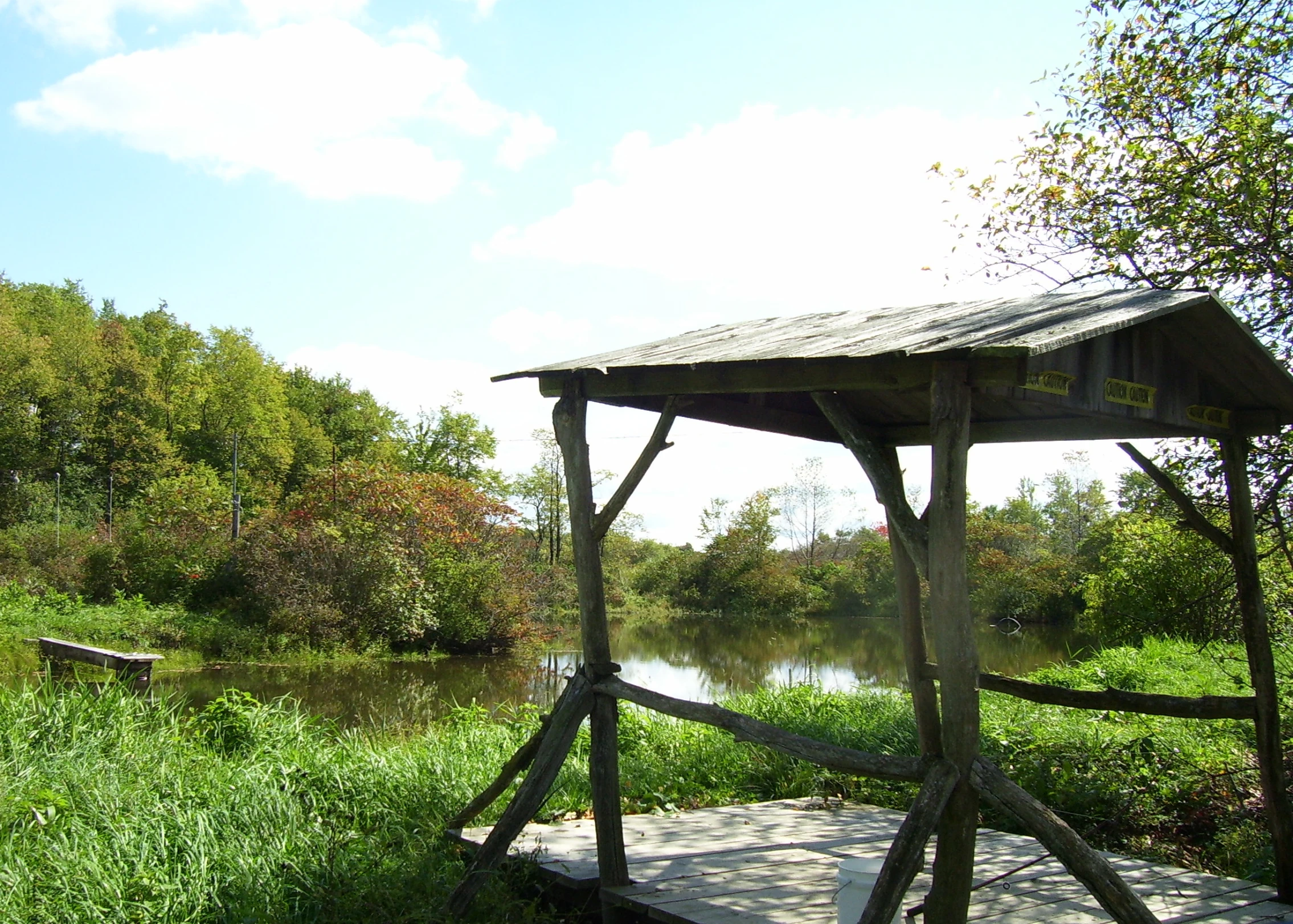 a wooden platform in a green grassy area