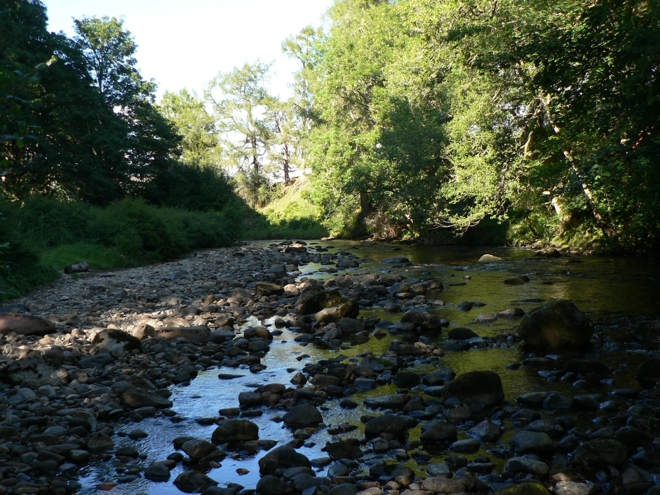 there is a river running through a wooded area