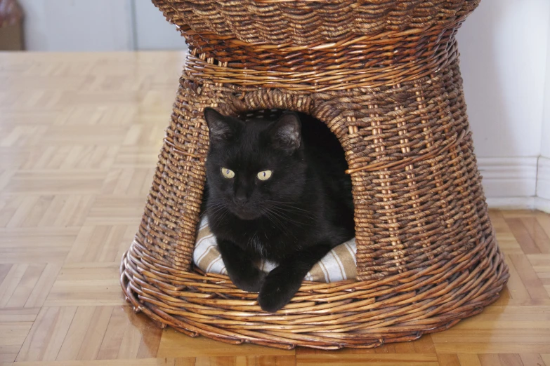 a black cat laying on a brown wicker chair