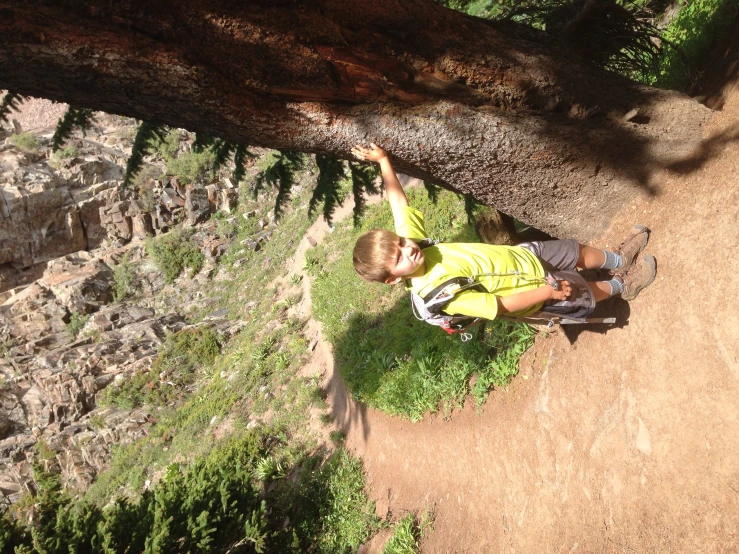 a little boy standing next to a tree