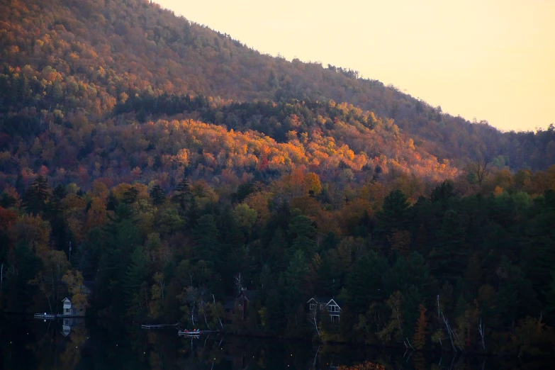 a forested area on the edge of a lake with a boat