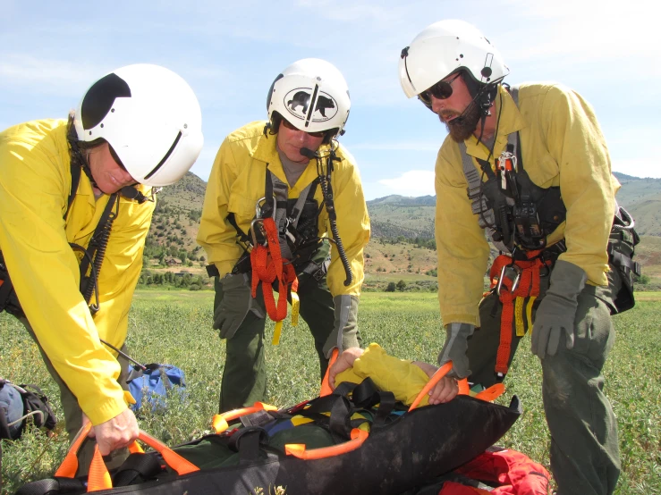 three people working together to rescue a bird in the grass