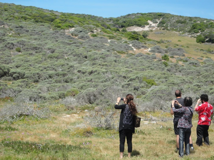 three people take pictures of the grass and trees