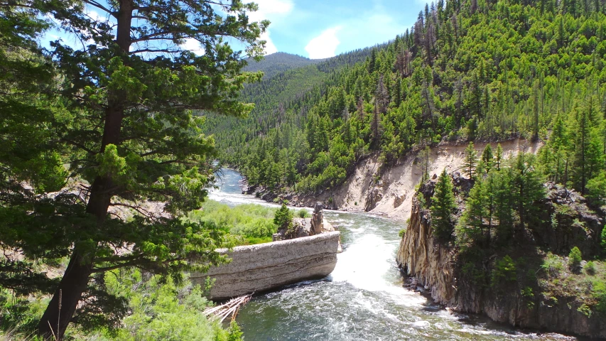 a river flowing through a valley surrounded by trees