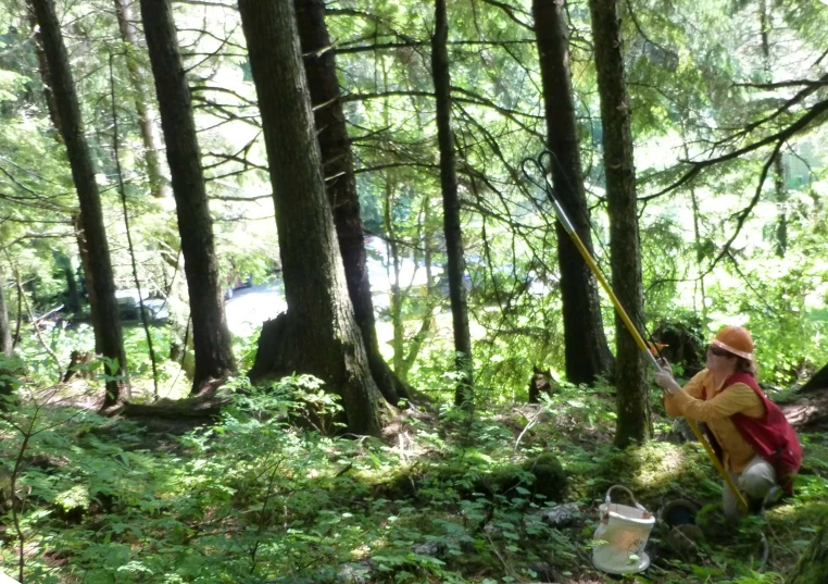 a man stands by himself in the woods holding a pole