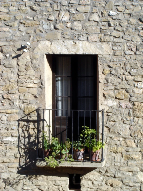 a window with metal bars and a balcony with plants