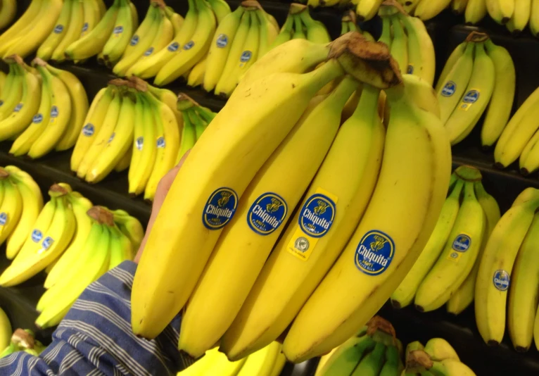 bunches of bananas are on shelves and some are being held up by the hands