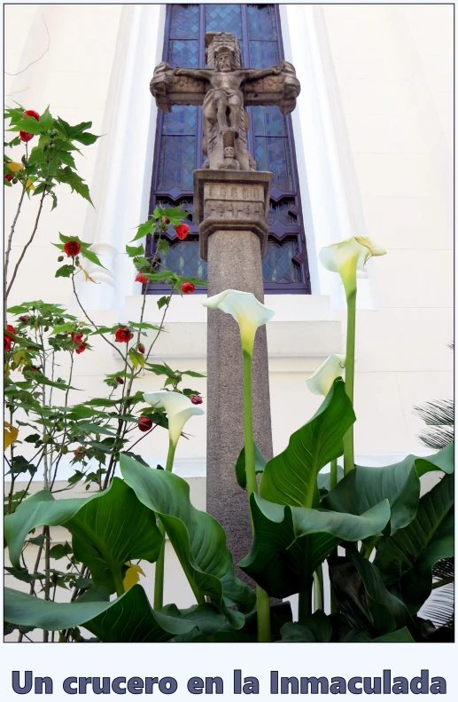 some tall flowers in front of a statue and a window