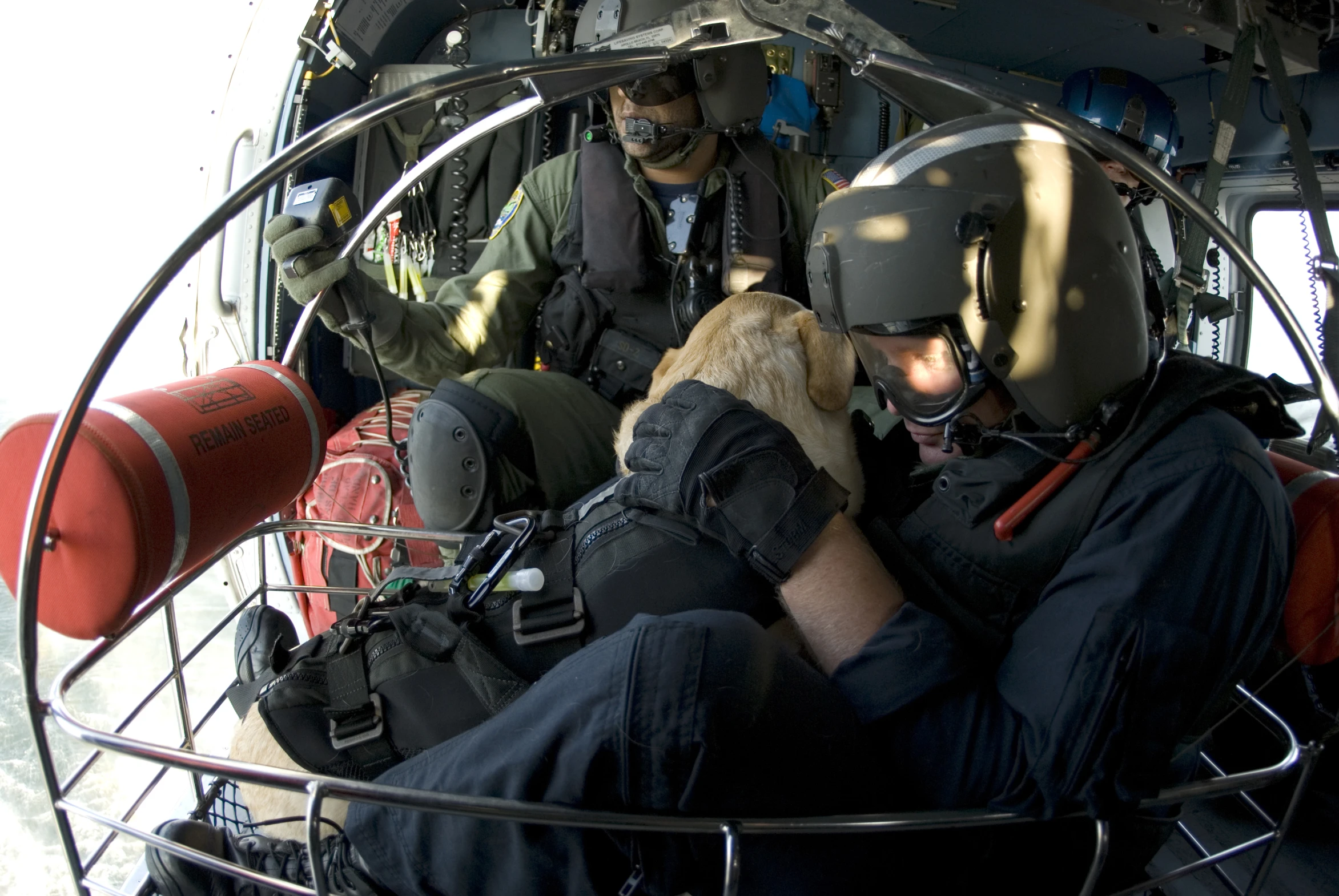 two pilots sit inside an airplane with their dog