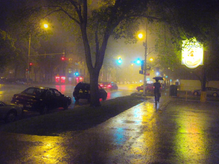 a person with an umbrella walking in the rain