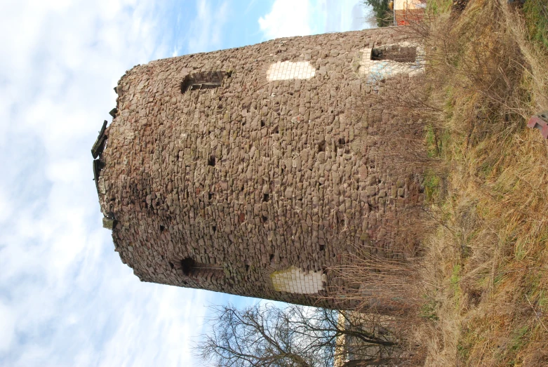 a tower that has a tree growing out of it