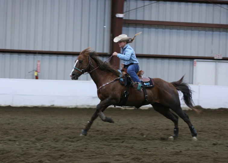 a person wearing a cowboy hat riding a horse