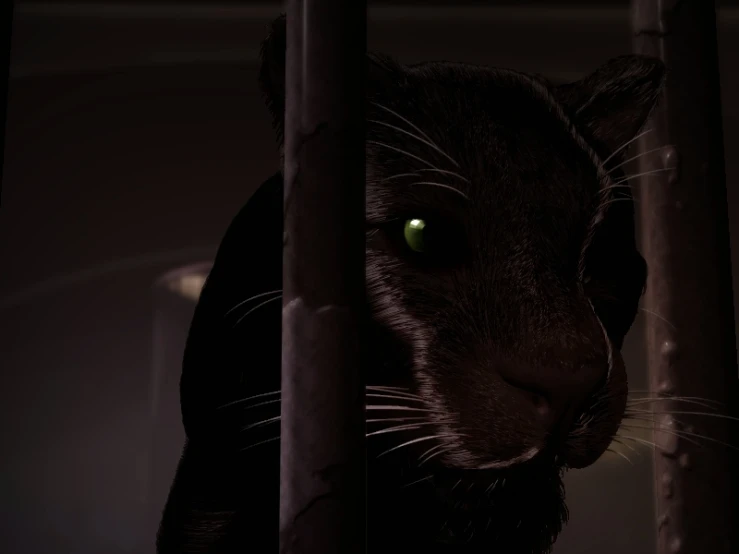 a large cat with green eyes behind bars