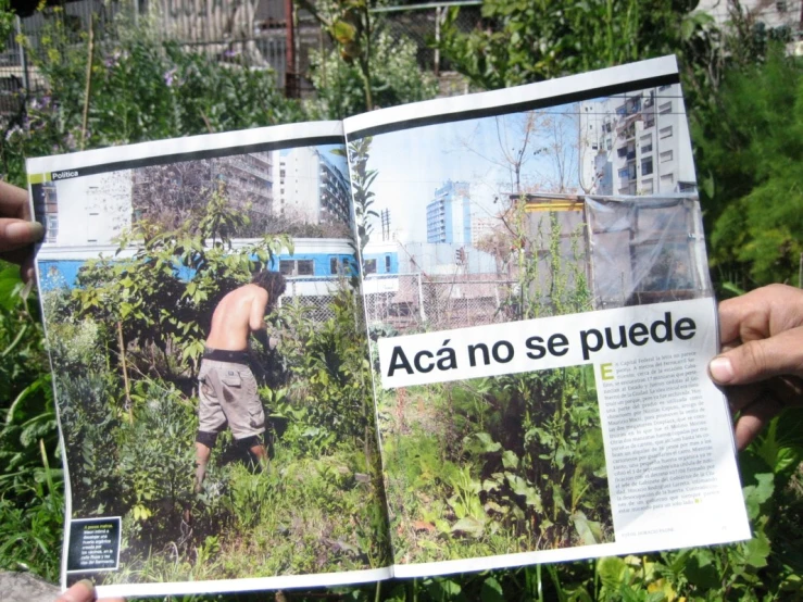 a person holds an open newspaper over plants in a forest