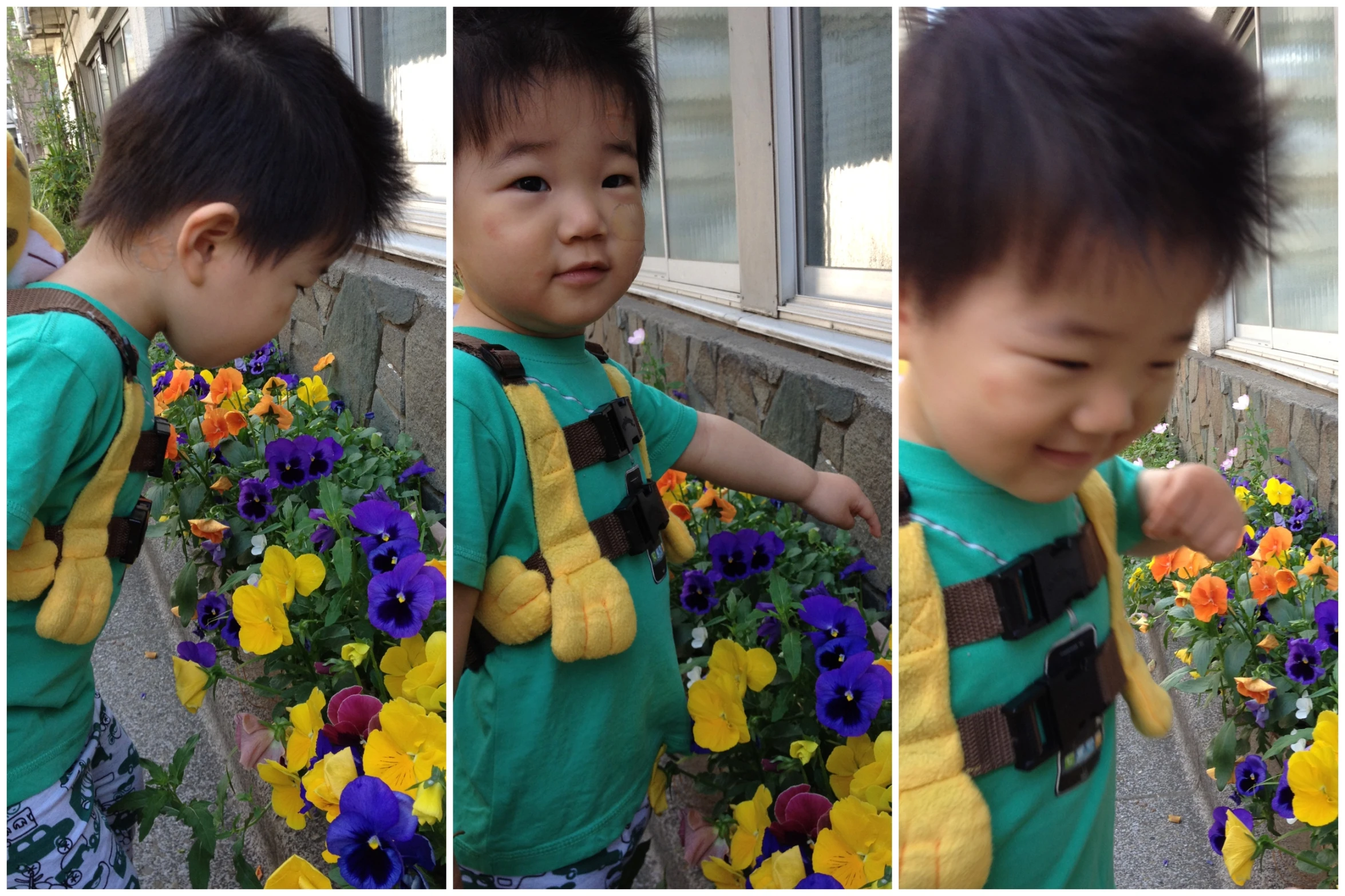 a little  with a yellow safety harness and some flowers