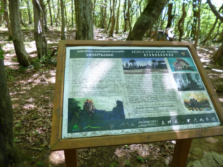 an information sign on the edge of a wooded area