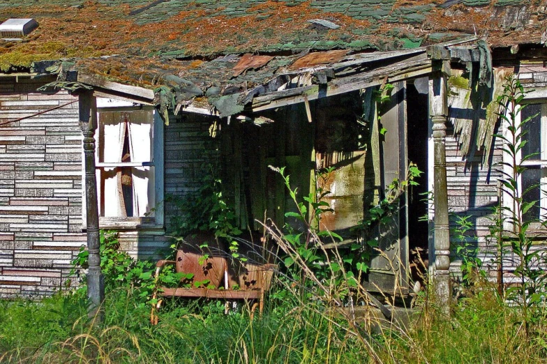 an old run down shack with plants growing over the roof