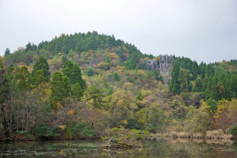 a po taken from the water of a forest and mountain range