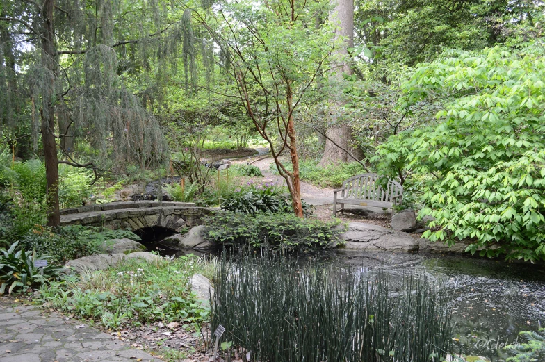 a pond is surrounded by a small stone bridge