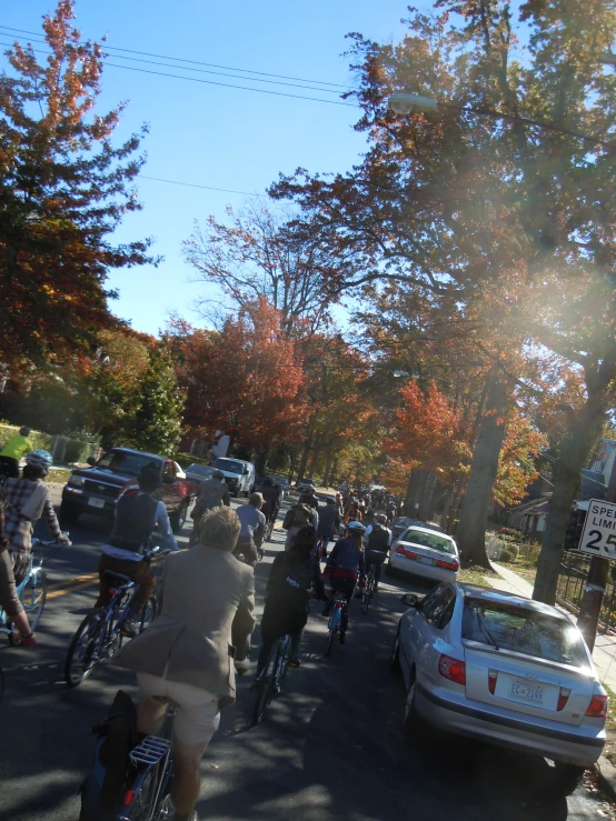 many people are riding their bikes down the street