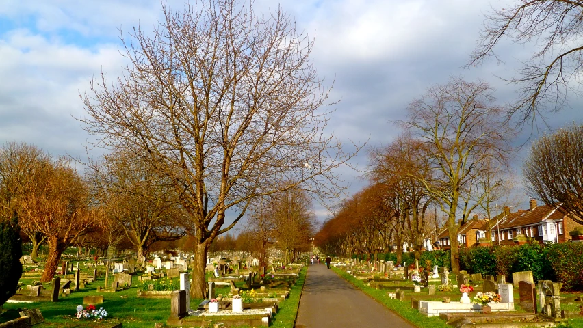 a cemetery with trees on both sides and people walking across the street