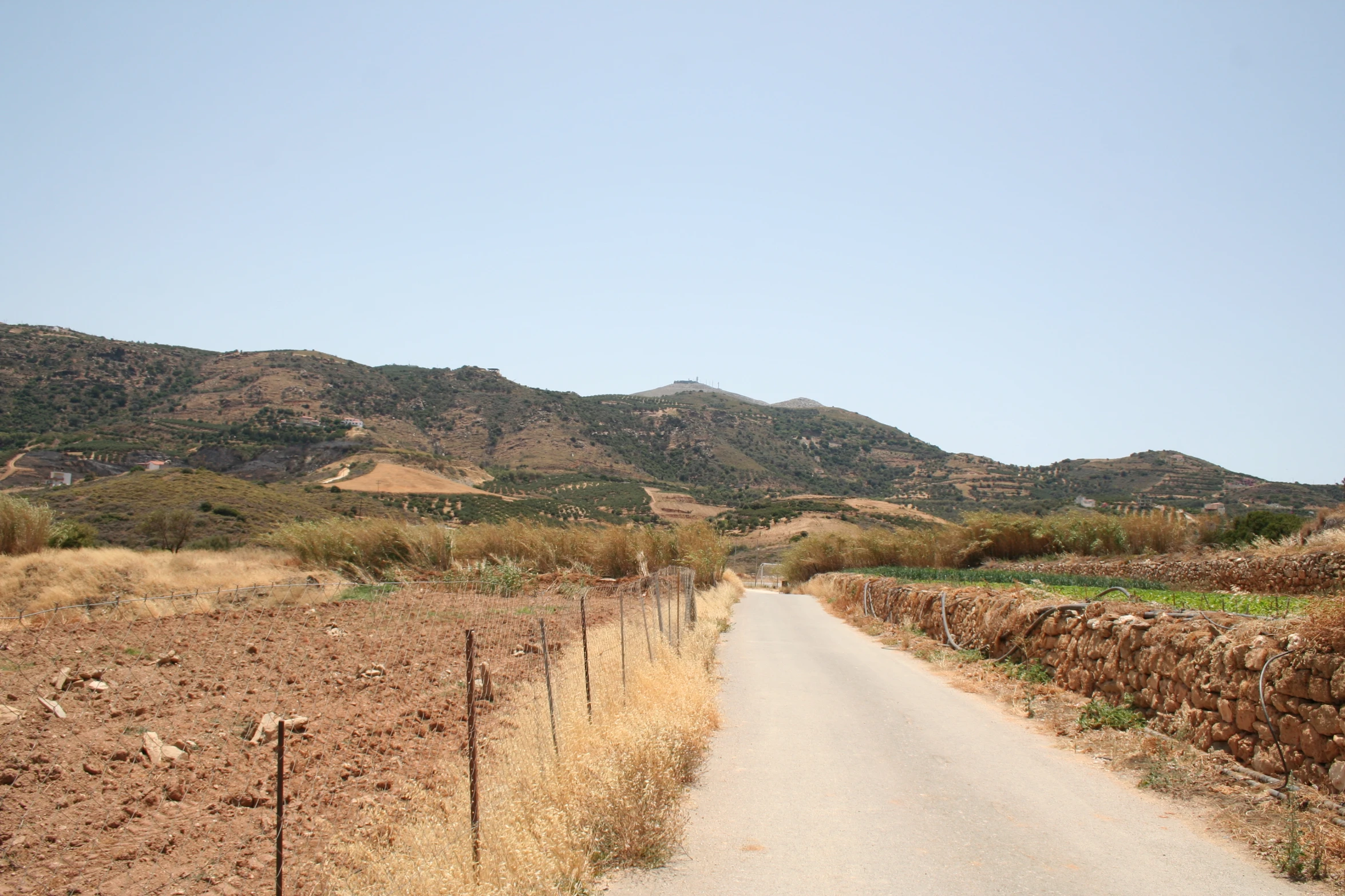 the dirt path leading to a lush green mountain