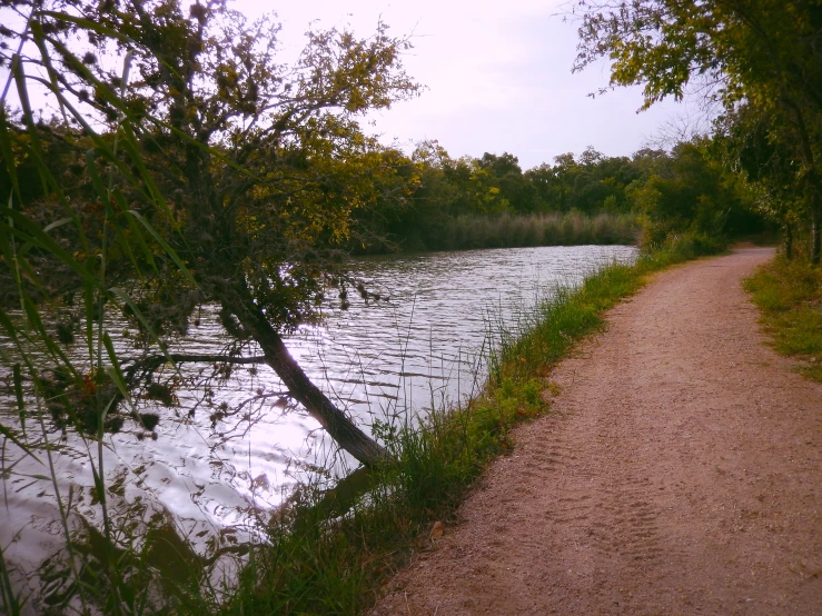 a pathway beside a lake with fence surrounding it
