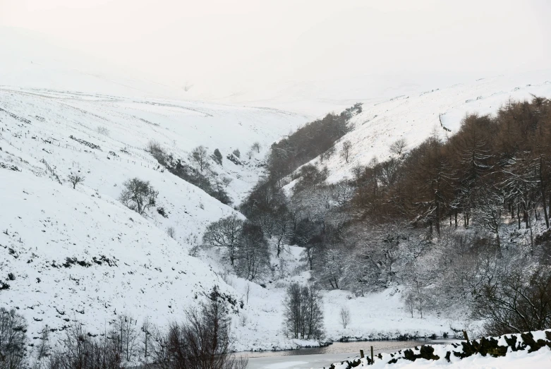 a snowy mountain side with trees on the sides