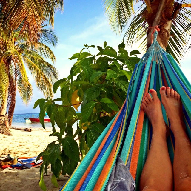 a person laying in a colorful hammock between some palm trees