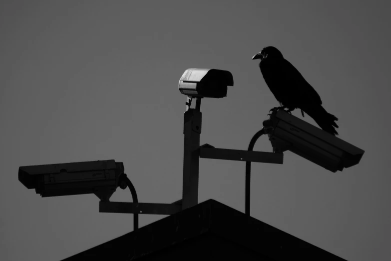 a bird sitting on top of a camera attached to a security pole