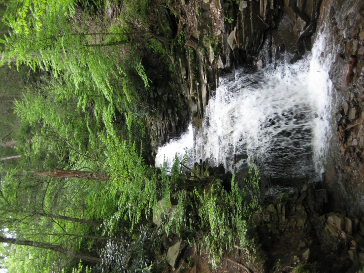 a waterfall flowing down a stream through a lush green forest