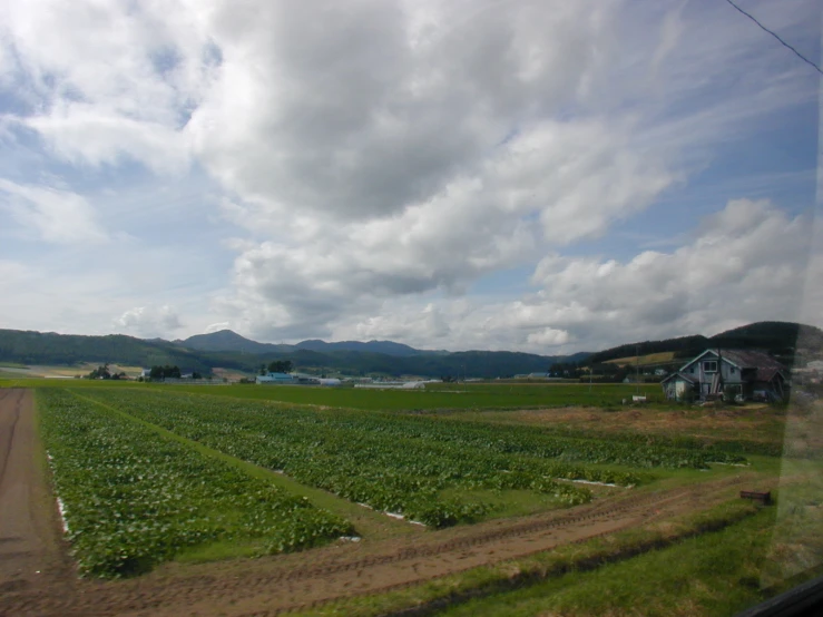 a farm with trees, houses and mountains in the background