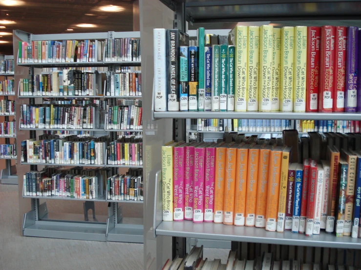 there are many books on the shelves of a public liry