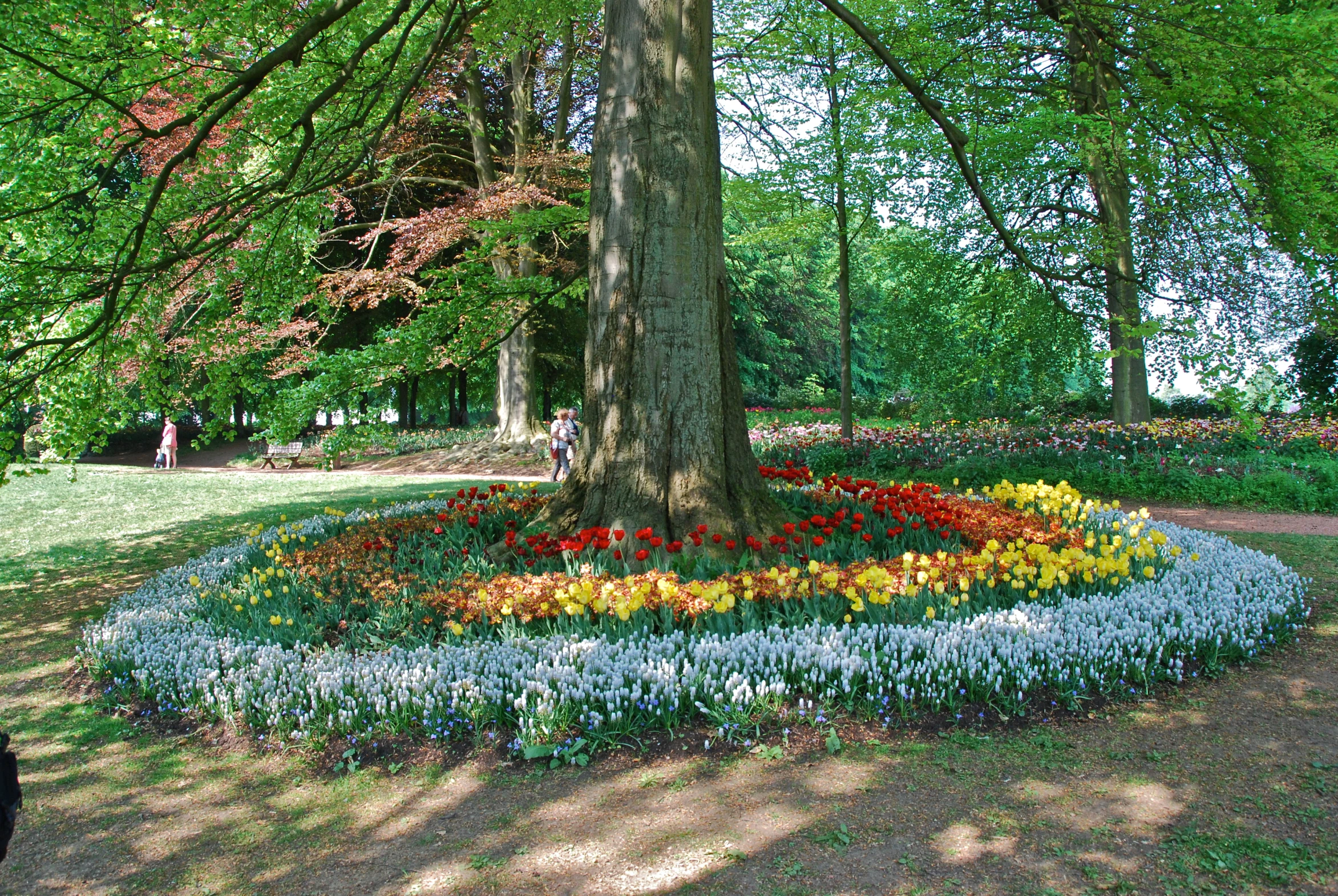 a flower garden in the middle of a forest