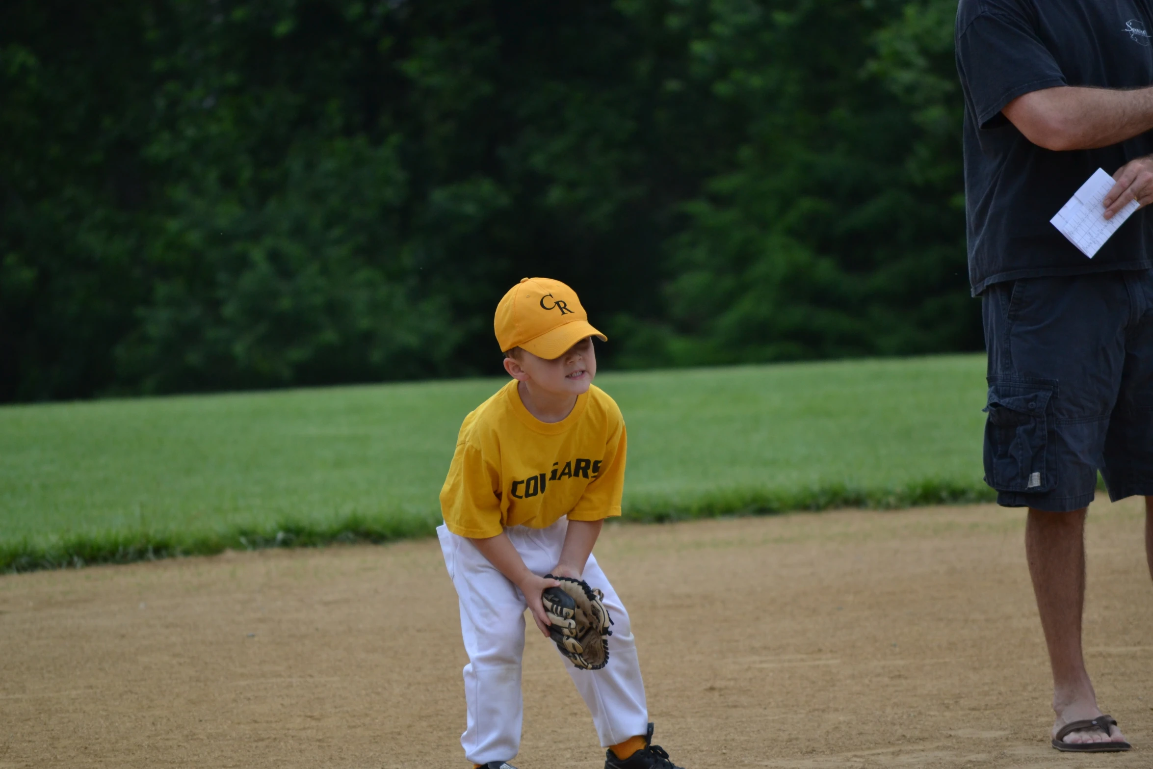 a small boy with a catchers mitt on the baseball field