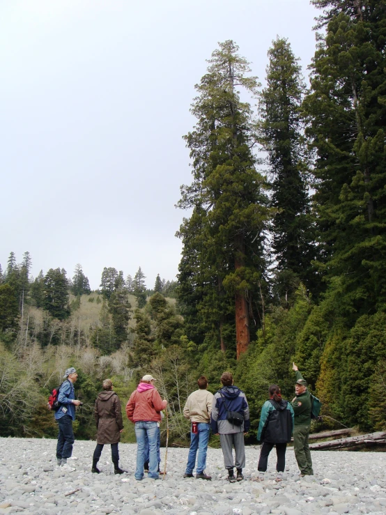 a group of people on a shore of the river