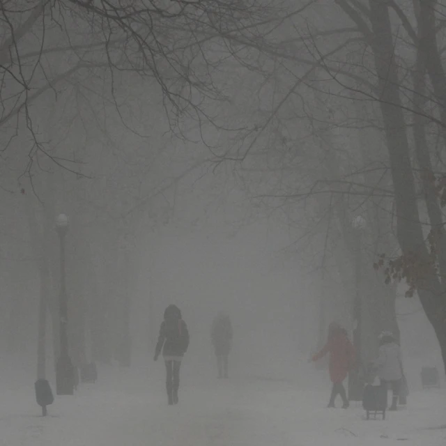 many people walk through the foggy winter weather