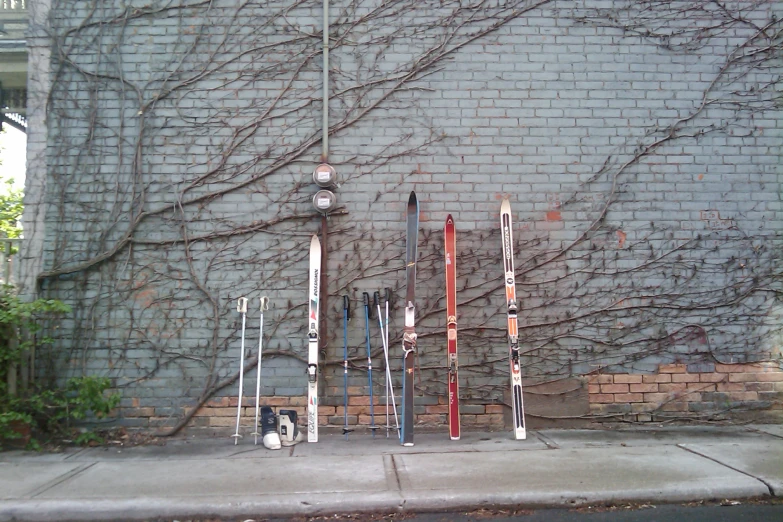 a bunch of skis lined up outside on the sidewalk