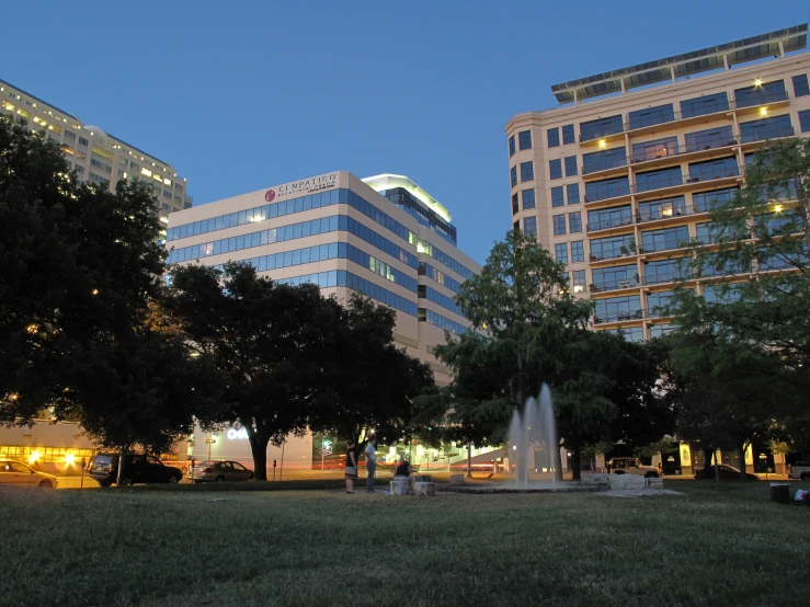 trees and bushes in front of two buildings at night