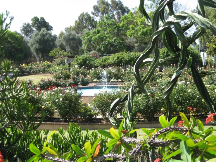 a garden is full of flowers and a water pool