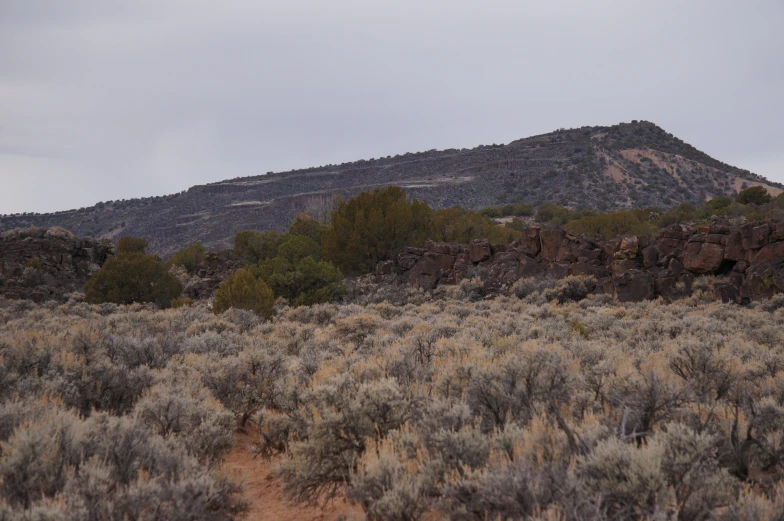 a landscape with a dirt road going through it