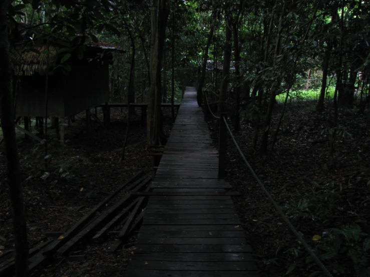 the trail to a tree house with an umbrella