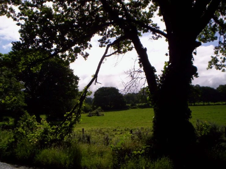 a road is next to a large green field