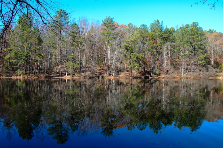 a lake surrounded by many trees with a blue sky in the background