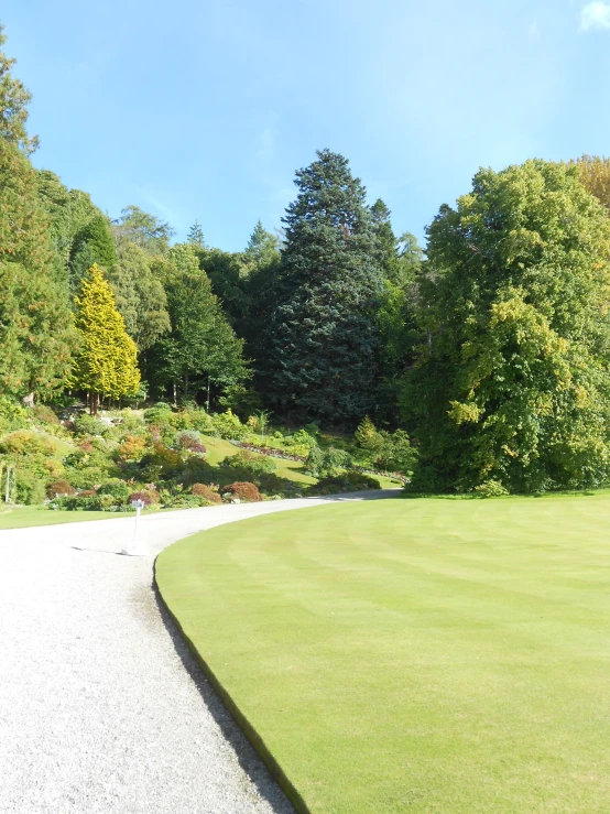 the winding path leads to the lush green field