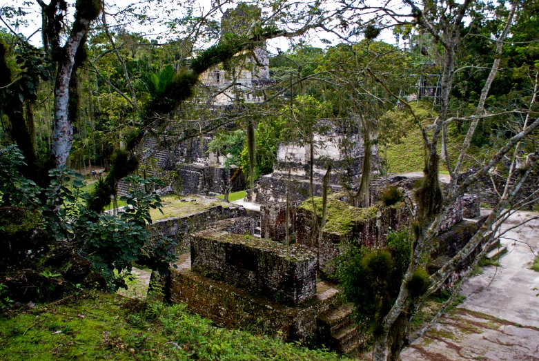 an image of some ruins in the forest