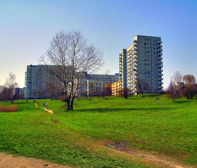 a green park near an apartment building with grass on each side