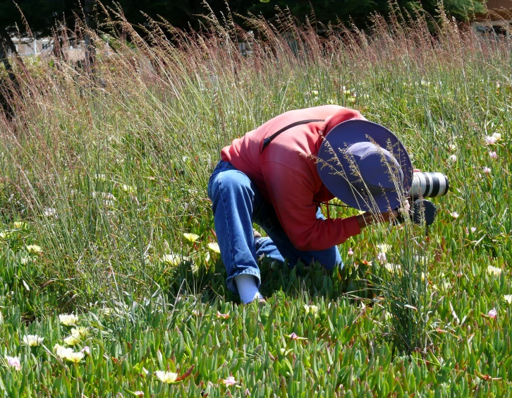 a person kneeling in tall grass and holding a camera