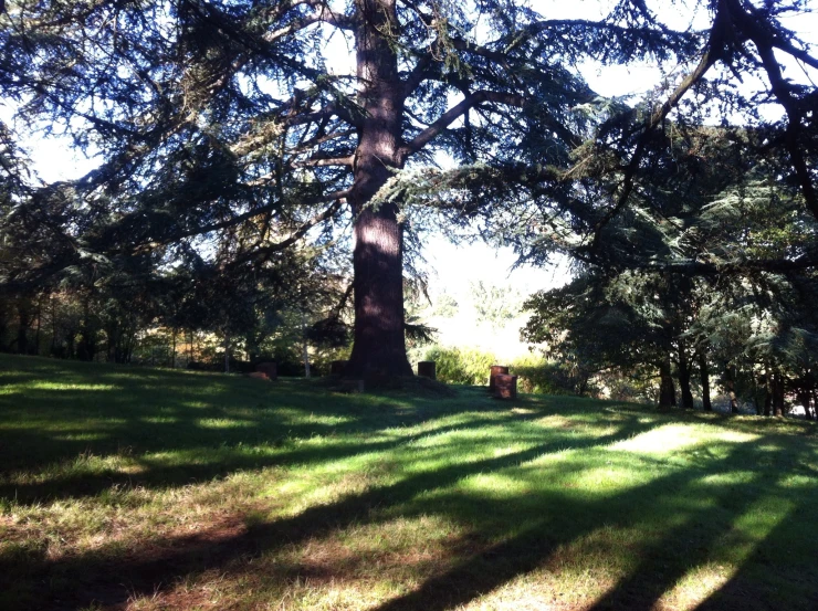 the shadow from the trees makes it appear to be almost completely shaded